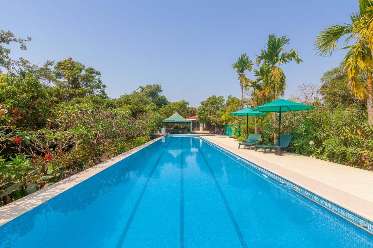 Stayvista'S Casa Palmera - Pet-Friendly Villa With Pool, Garden With Gazebo, And Indoor & Outdoor Games Алибаг Экстерьер фото